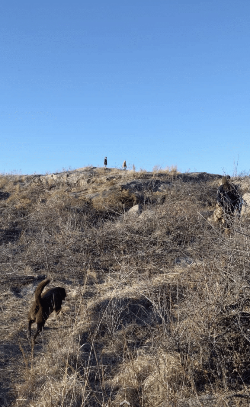 Explore the Ancient Morton Quartz Monzonite Gneiss Bedrock in Morton, MN