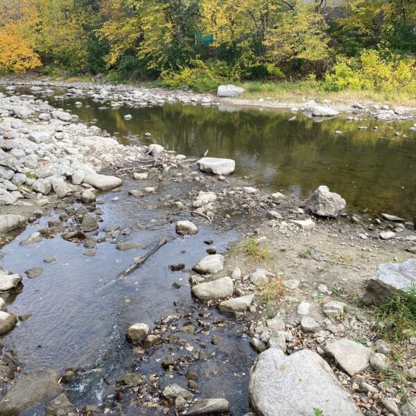 birch coulee creek with rocks